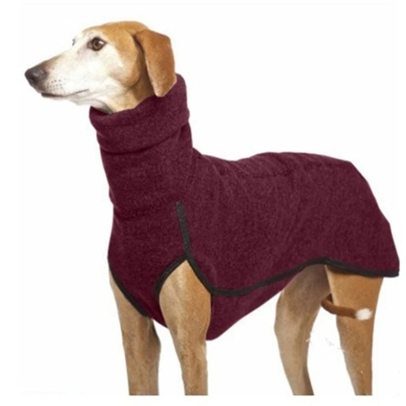 Pitbull dressed in a warm high-neck sweater for autumn and winter.