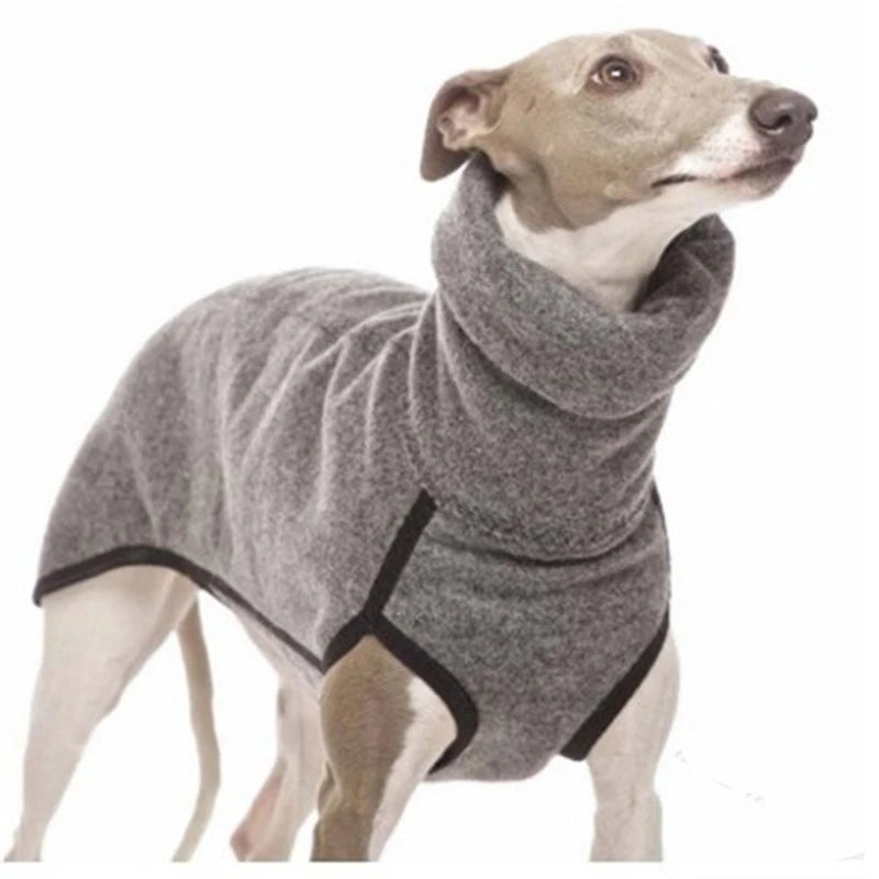 Great Dane in a solid-pattern jumper sweater for cold weather.