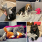 Collage of dogs playing with various toys on a couch.