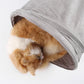 Cat peeking out from a gray fabric tunnel on a white background
