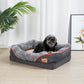 Dog lying on a gray pet bed with orange trim in a room with a plant and framed picture.