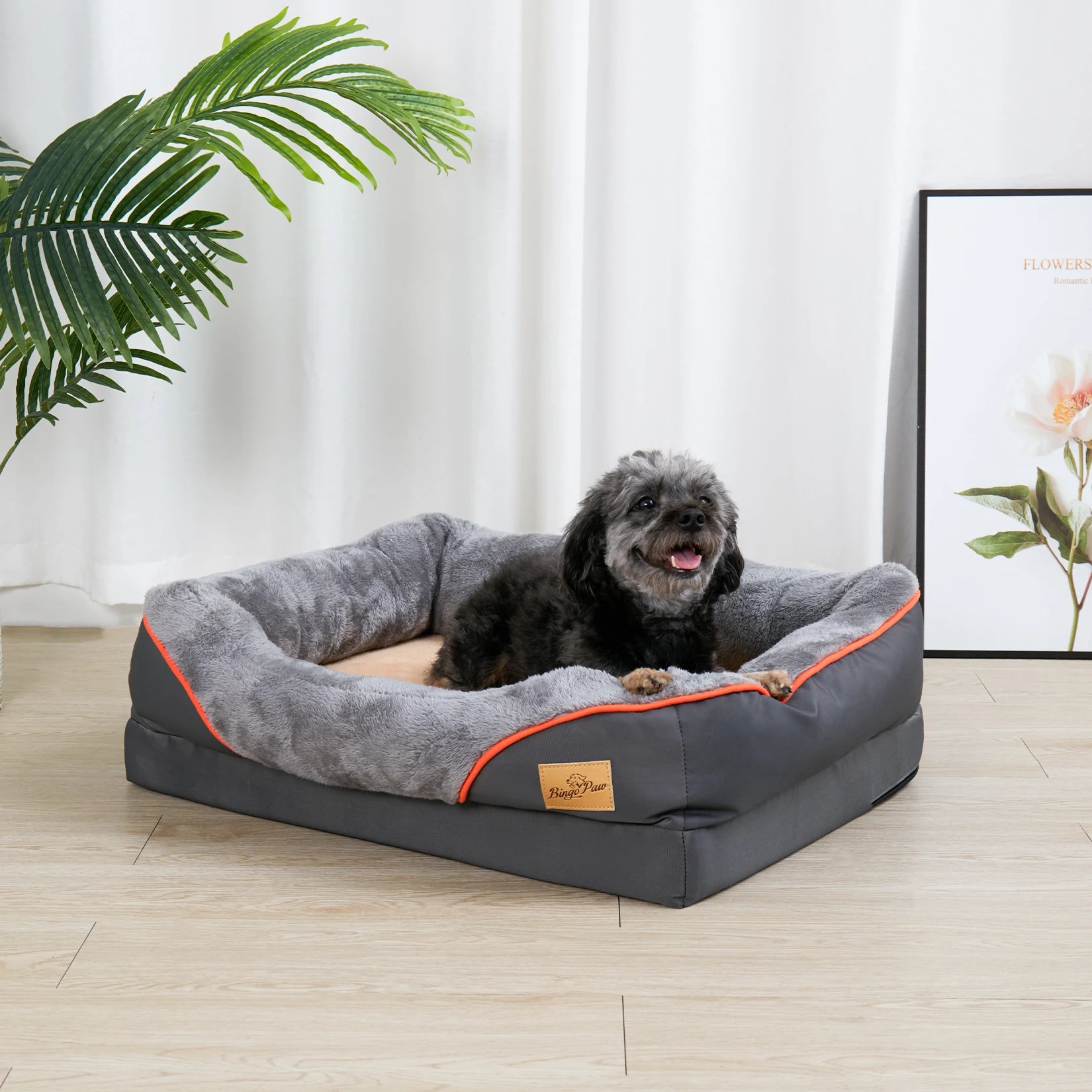 Dog lying on a gray pet bed with orange trim in a room with a plant and framed picture.