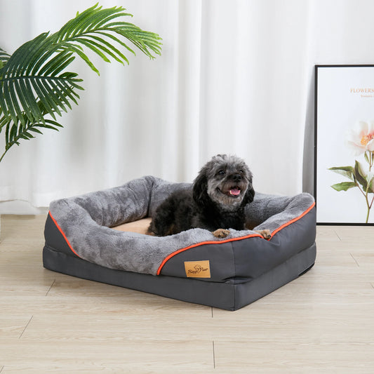 Dog lying on a gray pet bed with orange trim in a room with a plant and framed picture.
