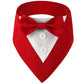 Red bandana with white shirt collar and buttons on a white background