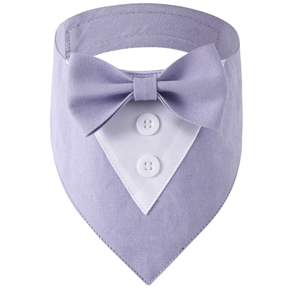 Lavender dog bandana with white shirt collar and buttons on a white background