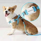 Dog wearing a blue harness with a 'Findmay Tag' on a light gray background