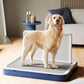 Dog standing on a pet grooming platform in a home setting