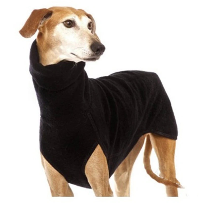 Great Dane in a solid-pattern jumper sweater for cold weather.