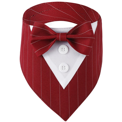 Red pinstripe dog collar with bow tie and white shirt on a white background