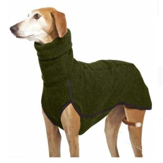 Greyhound wearing a high-collar cotton sweater in winter