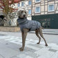 Dog wearing a gray puffer coat standing on a tiled pavement with a building in the background.