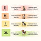 Size chart for pet collars with images of small, medium, large, and extra-large pets.