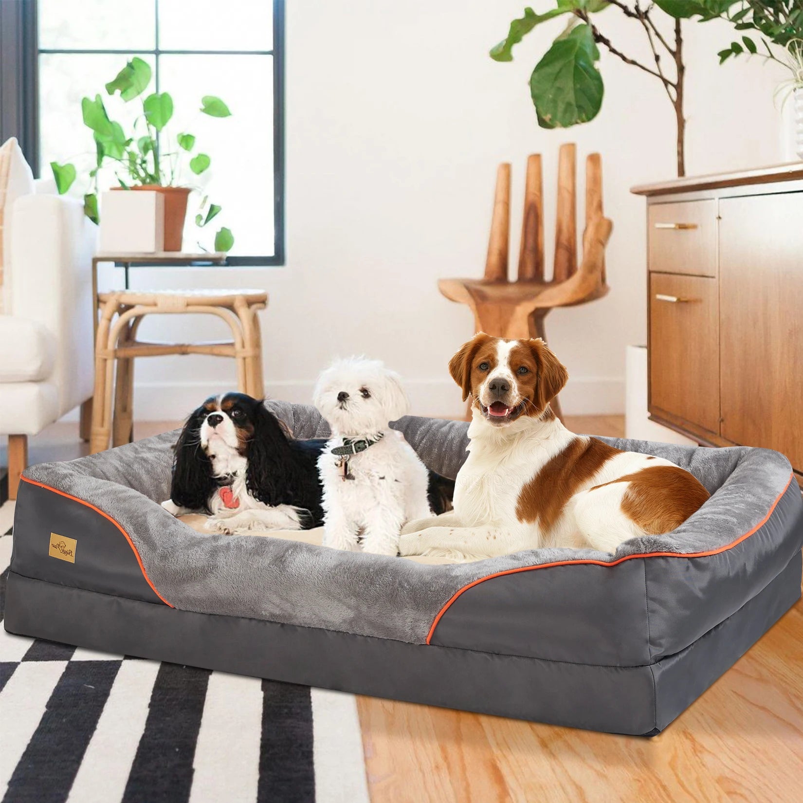 Three dogs on a large gray pet bed in a living room setting with plants and furniture.