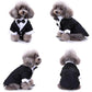 Dog wearing a black tuxedo with a bow tie on a white background