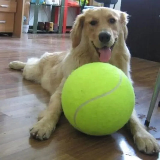 Durable dog tennis ball with basketball-grade rubber core.