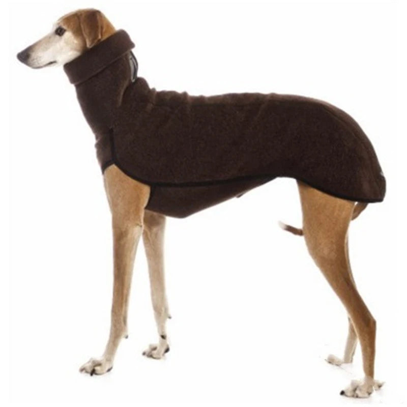 Great Dane in a solid-pattern jumper sweater for cold weather.