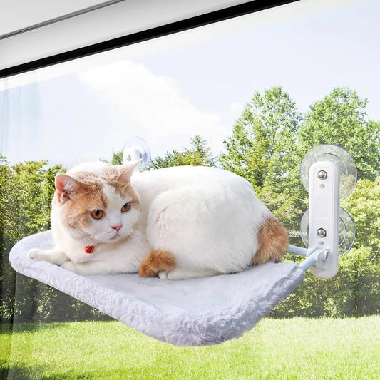 Cat lounging on a window-mounted hammock with a view of trees outside.