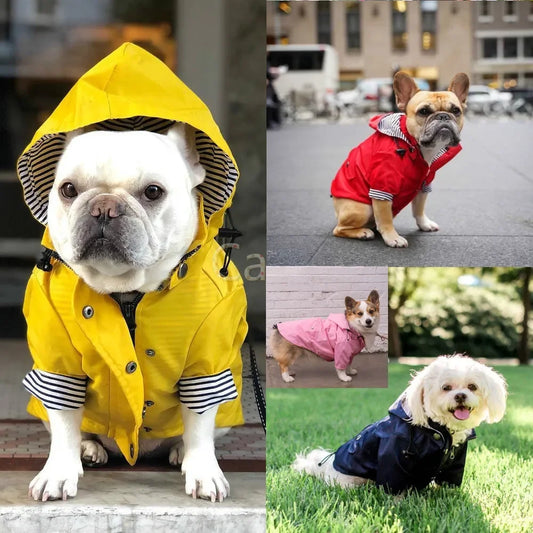 Collage of dogs wearing raincoats in various colors and settings.