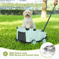 Dog sitting in a mint green pet stroller with a grassy background
