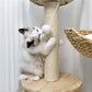 Sisal rope scratching posts for indoor cats UK