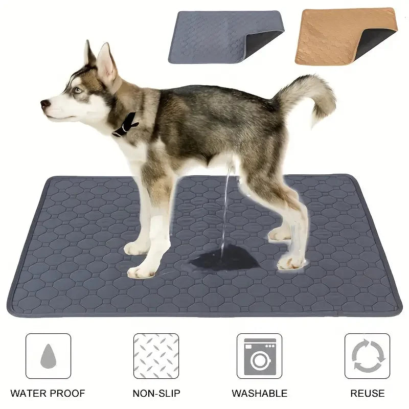 Demonstration of the waterproof base protecting a surface.