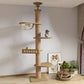 Cat tree with shelves and a cat sitting on it, surrounded by framed pictures of cats and plants.