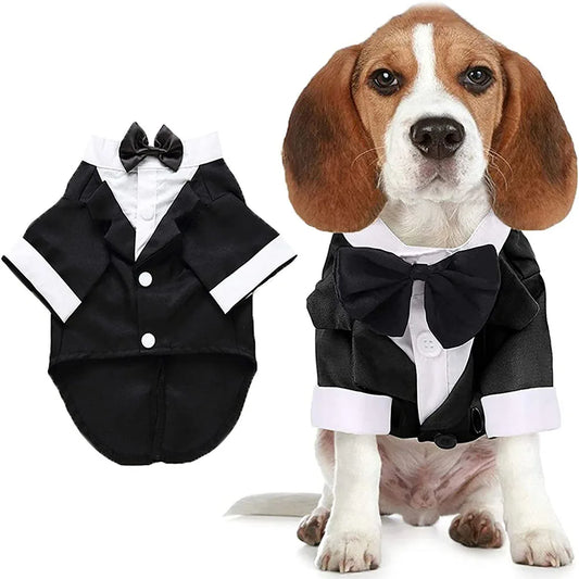 Dog wearing a black tuxedo with a bow tie next to a black tuxedo outfit on a white background