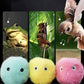 Smart Interactive Cat Toy Ball with Catnip – Squeaky Training Play Ball - Waggley Tails