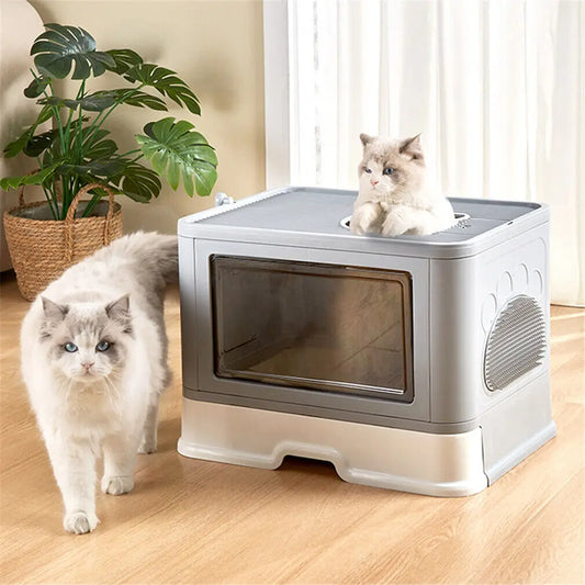 Foldable cat litter box with top entry