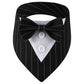 Black pinstripe dog collar with a bow tie and white shirt on a white background
