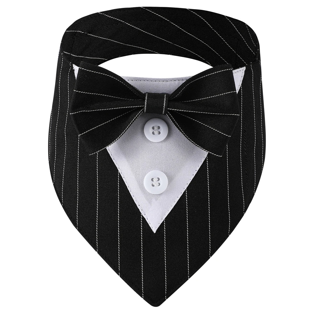 Black pinstripe dog collar with a bow tie and white shirt on a white background