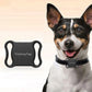 Dog wearing a black collar with a FindmayTag device on a beige background