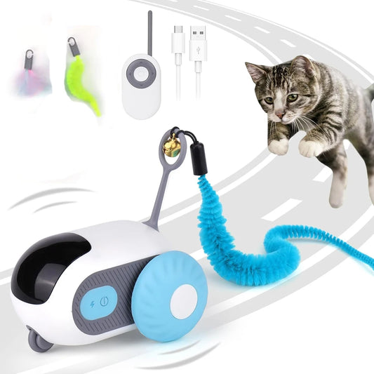 Pet toy device with a blue flexible leash and a cat interacting with it on a white background.