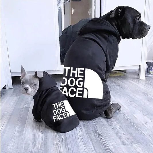 Rottweiler wearing a Reflective Winter Dog Hoodie during a walk.