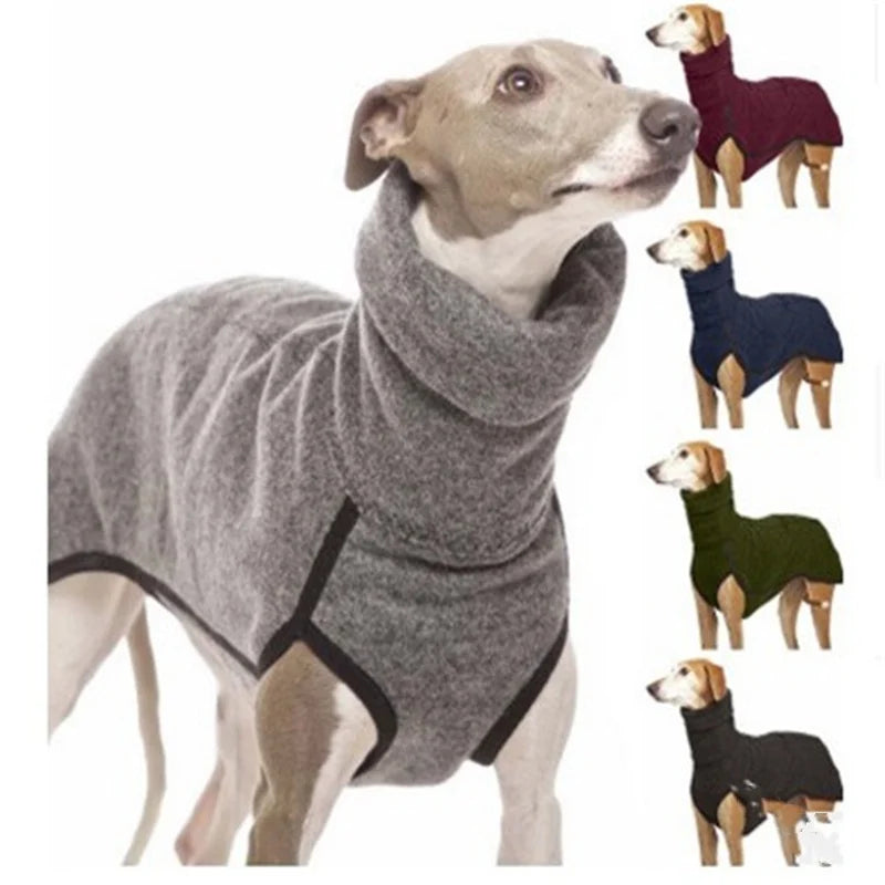 Large dog modeling a solid-color cotton winter jacket.