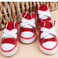 Small dog wearing pink canvas shoes