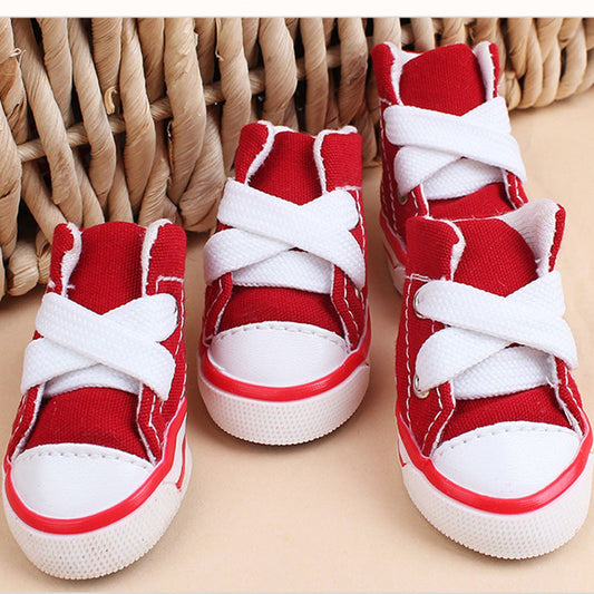 Small dog wearing pink canvas shoes