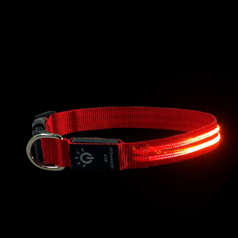 Night Waterproof Lighting Collar Night - Waggley Tails