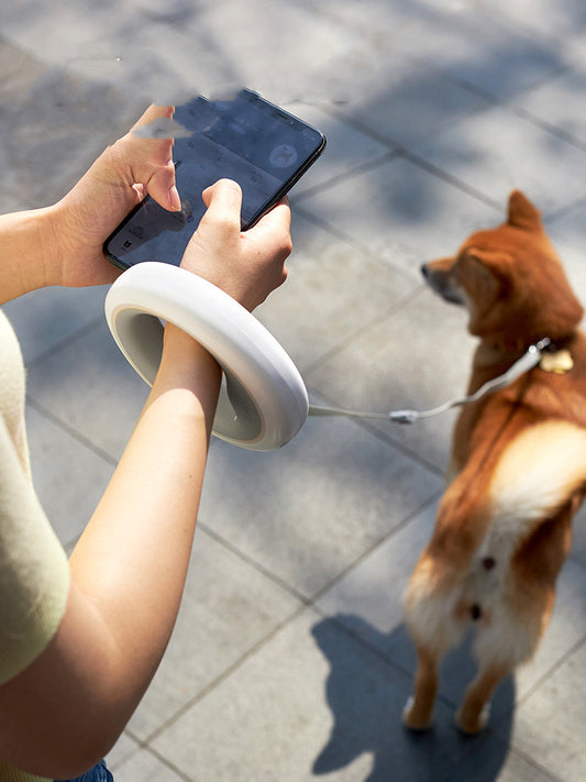 Retractable Dog Leash - Waggley Tails