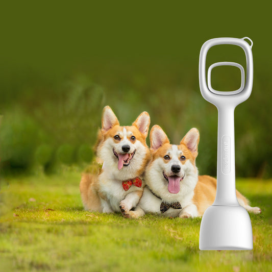 Pet Excrement  Pickup - Waggley Tails