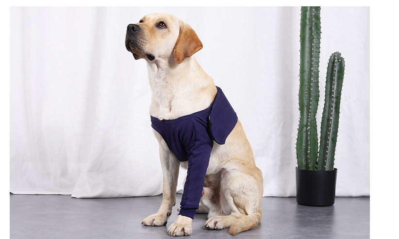 New Anti-licking Sleeve For Postoperative Recovery Of Dog Legs - Waggley Tails