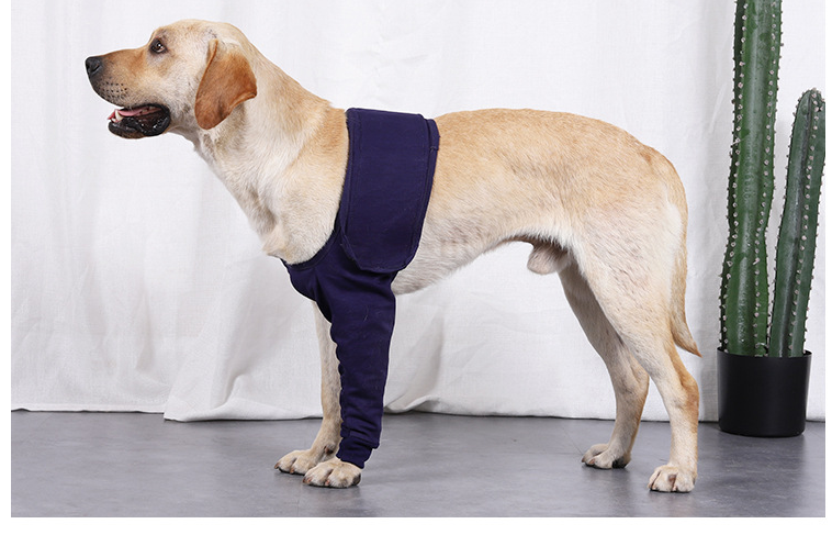 New Anti-licking Sleeve For Postoperative Recovery Of Dog Legs - Waggley Tails