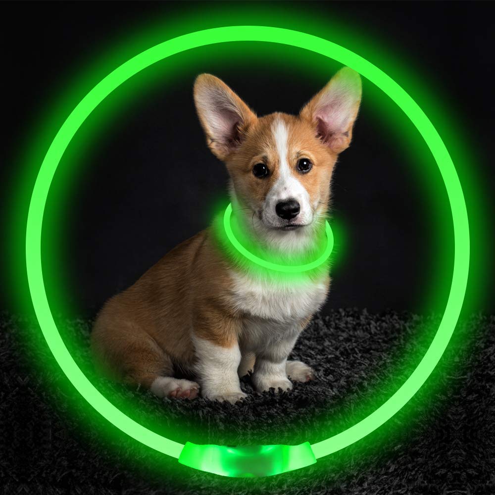 Pet Flashing Collar USB Rechargeable Glowing Necklace Safety Collar Light Up Collars For Night Walking Electric Dog Collar Neon - Waggley Tails