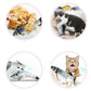 Fish Shape Cat Toy Electric USB Charging - Waggley Tails