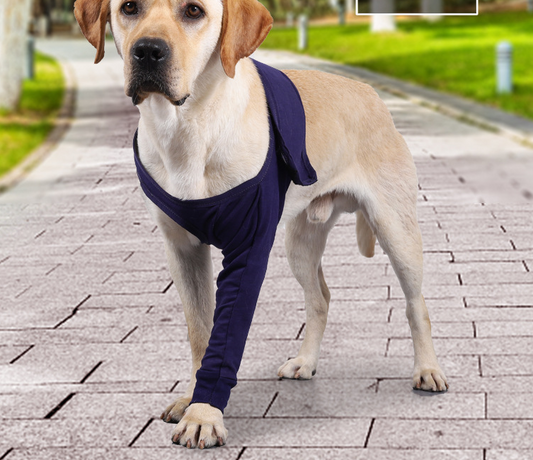 New Anti-licking Sleeve For Postoperative Recovery Of Dog Legs - Waggley Tails