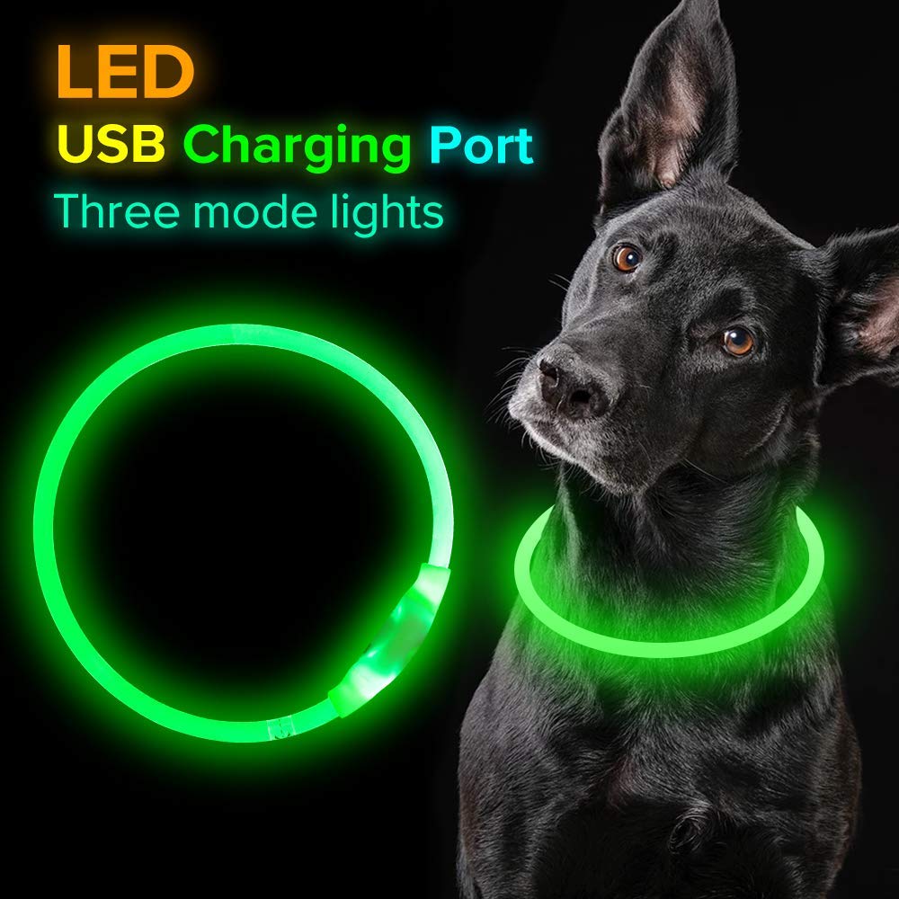 Pet Flashing Collar USB Rechargeable Glowing Necklace Safety Collar Light Up Collars For Night Walking Electric Dog Collar Neon - Waggley Tails