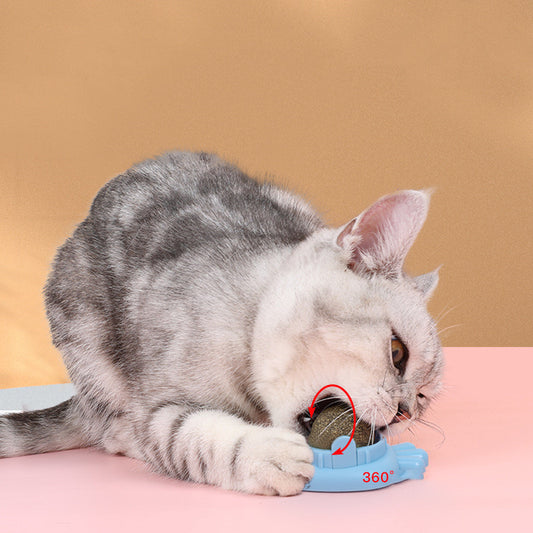 Pet Cat Mint Ball Toy - Waggley Tails