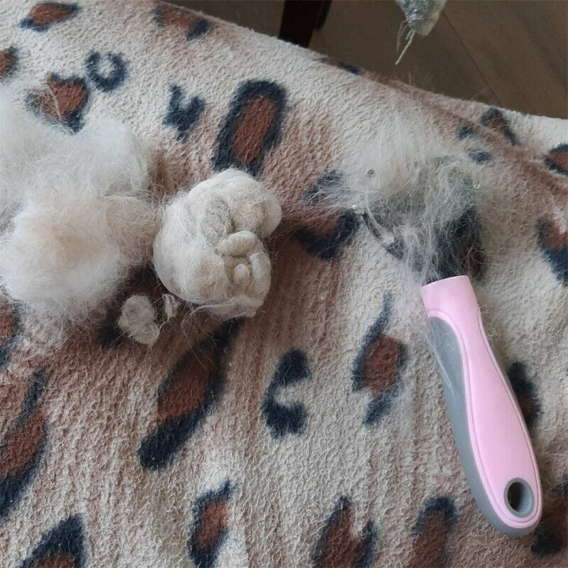 Grooming Dematting Brush For Pet - Waggley Tails