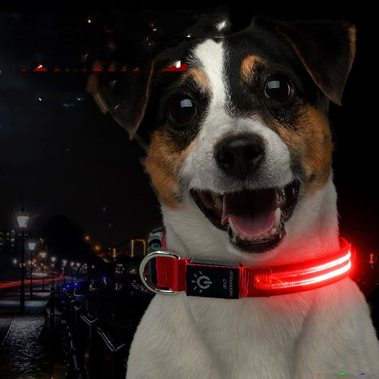 Night Waterproof Lighting Collar Night - Waggley Tails