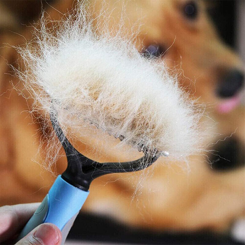 Grooming Dematting Brush For Pet - Waggley Tails